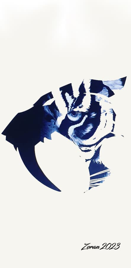 dessin tigre