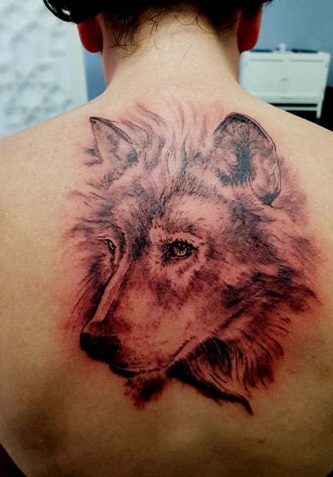 Style de tatouages tatouage loup