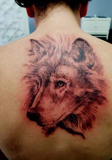 Tattoo loup